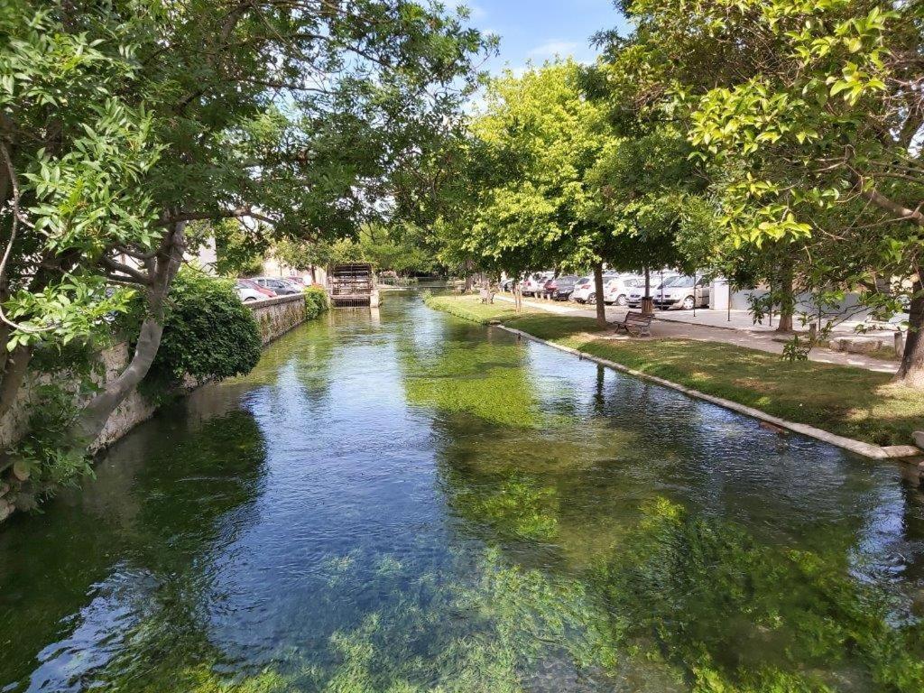 마잔 Gite Dans Les Pins Avec Piscine 빌라 외부 사진