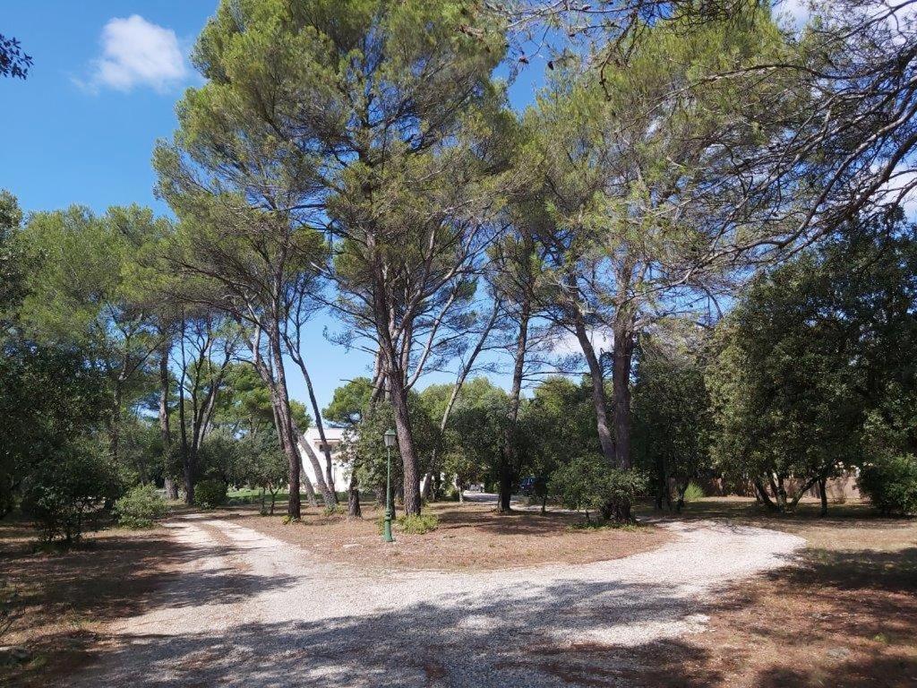 마잔 Gite Dans Les Pins Avec Piscine 빌라 외부 사진