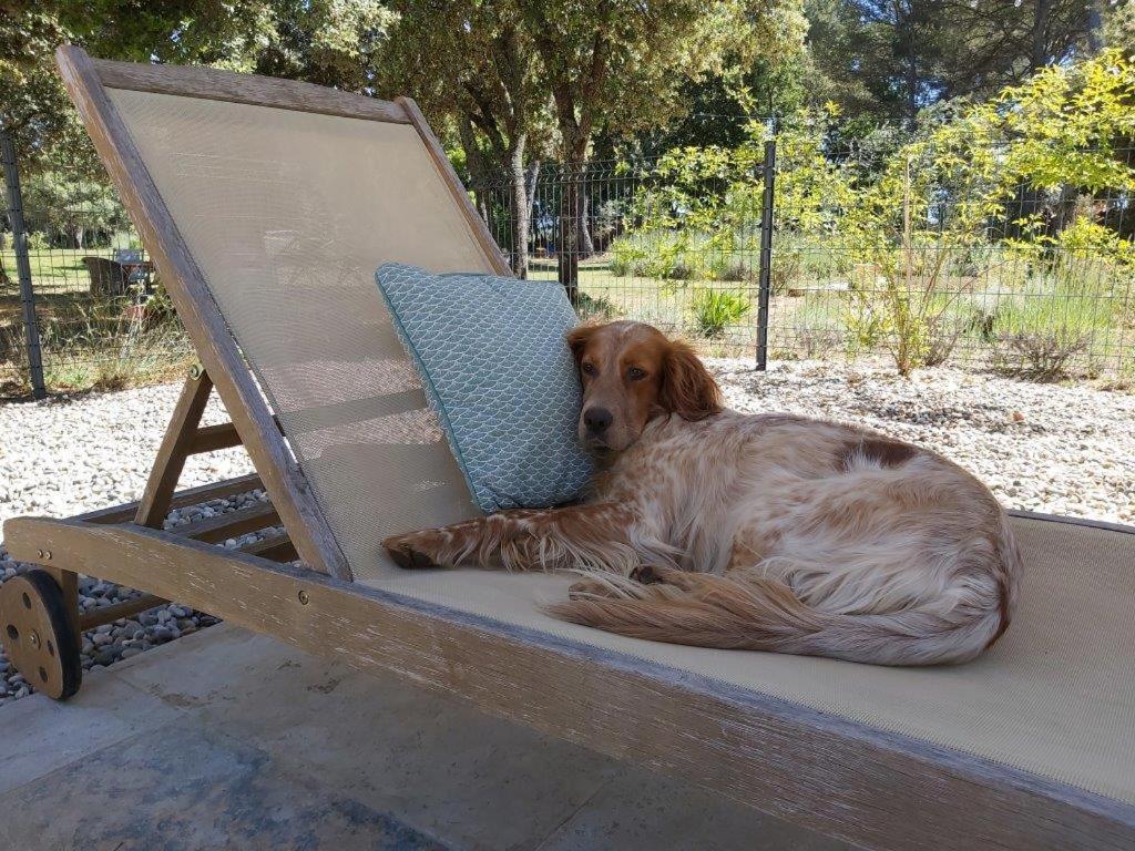 마잔 Gite Dans Les Pins Avec Piscine 빌라 외부 사진