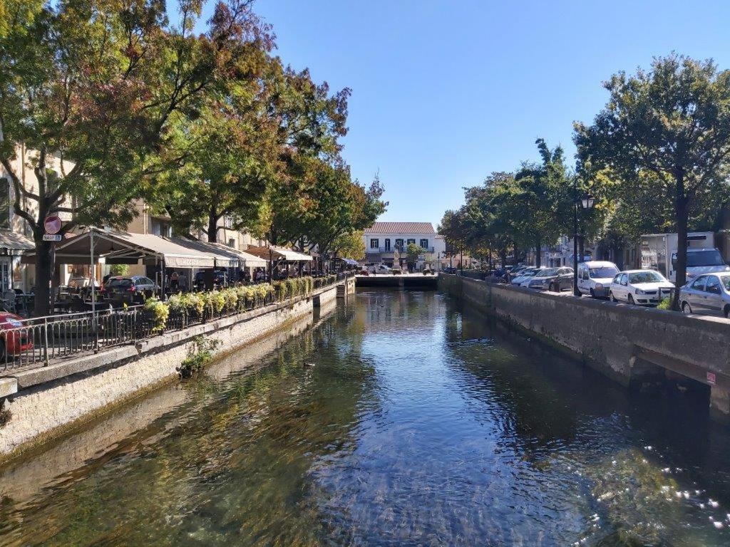 마잔 Gite Dans Les Pins Avec Piscine 빌라 외부 사진